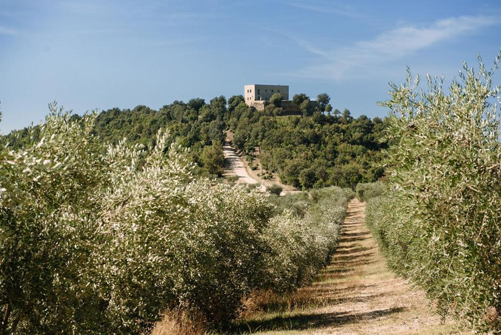 Tenuta Di Forte Sorgnano Gualdo Cattaneo Exterior foto
